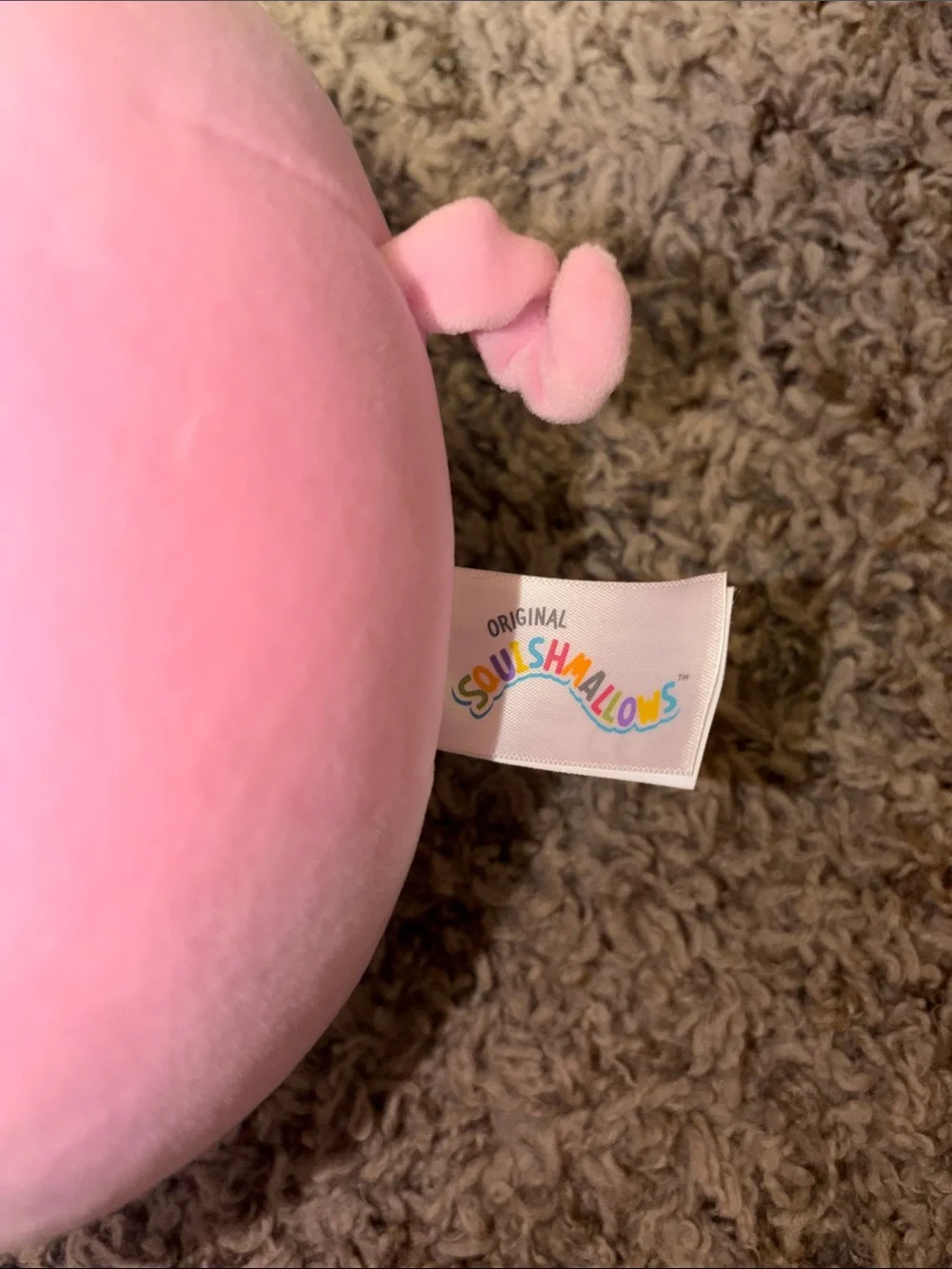 Squishmallows squishmallow pig